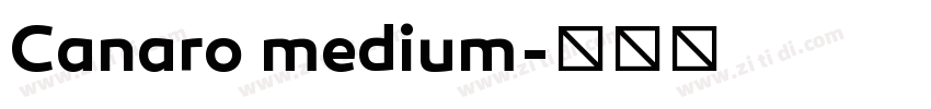 Canaro medium字体转换